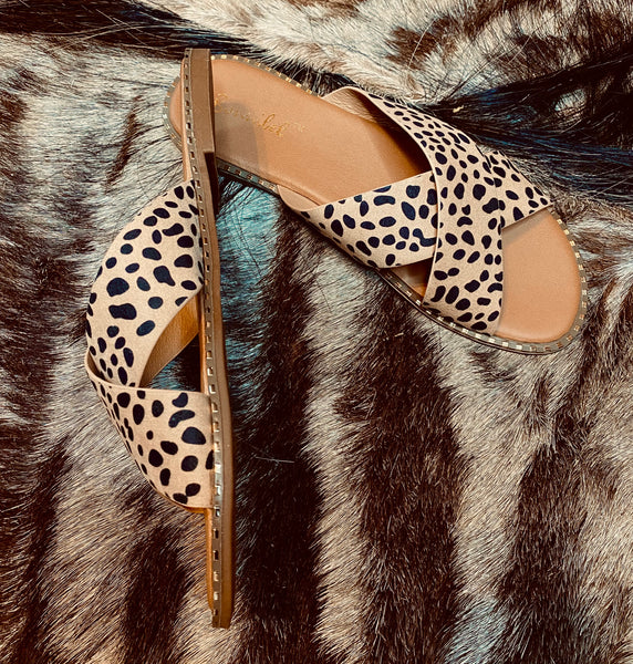 Coconuts sale cheetah sandals